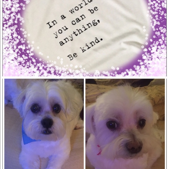 “MEET THE POSHER” so nice to meet you🌷 - Picture 13 of 17